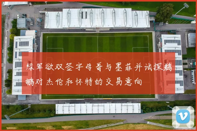 绿军欲双签字母哥与墨菲并试探鹈鹕对杰伦和怀特的交易意向